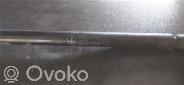 Rover 200 XV Bagāžnieka balsts 