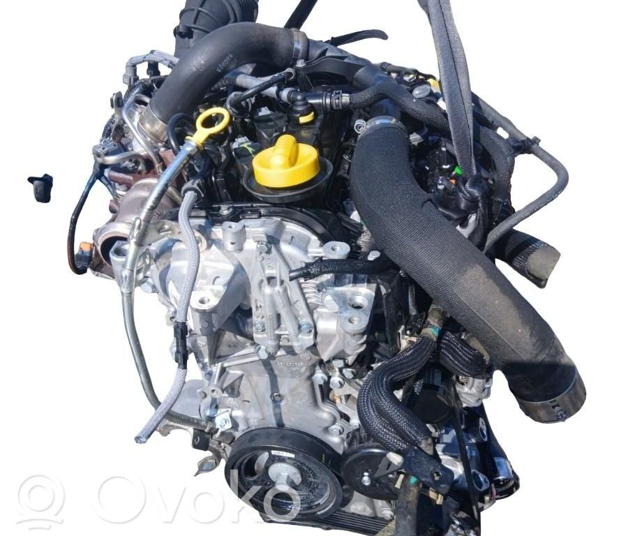 Variklis   H4DF480