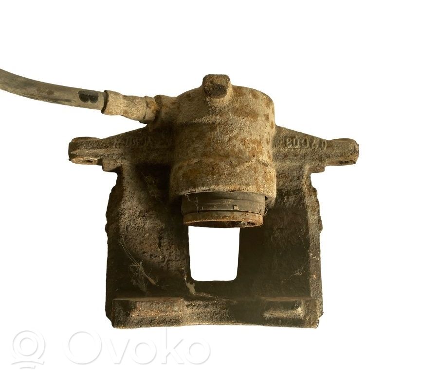 Takajarrusatula   93173313