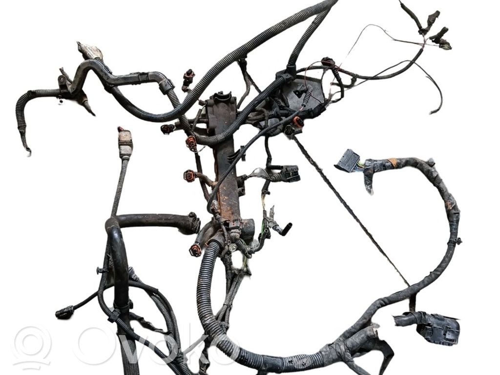 Engine installation wiring loom