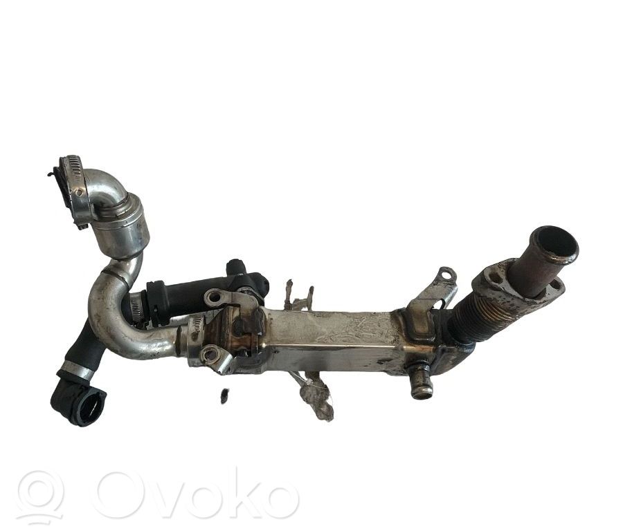 BMW X5 E70 EGR dzesētājs 