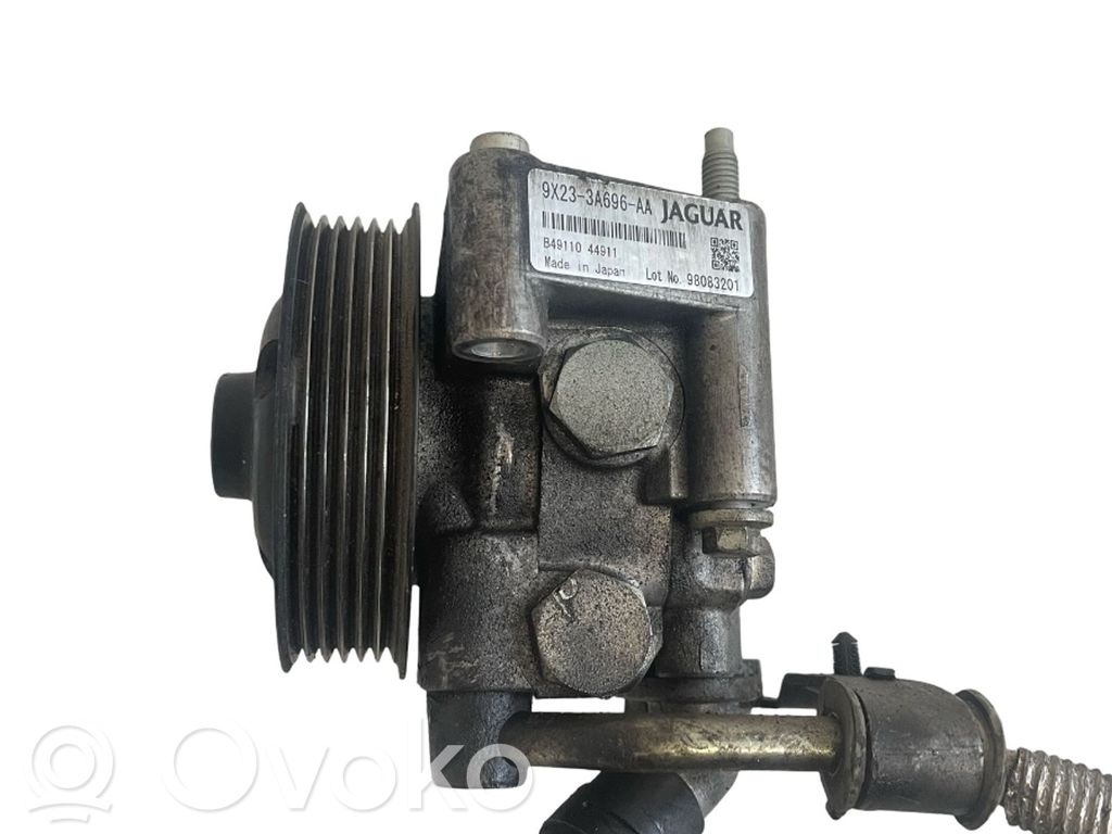 Servopumpe   9X233A696AA