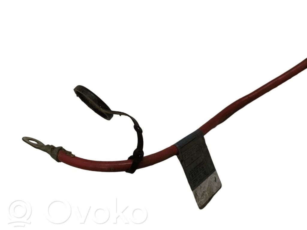 Cable positivo (batería)   6938504