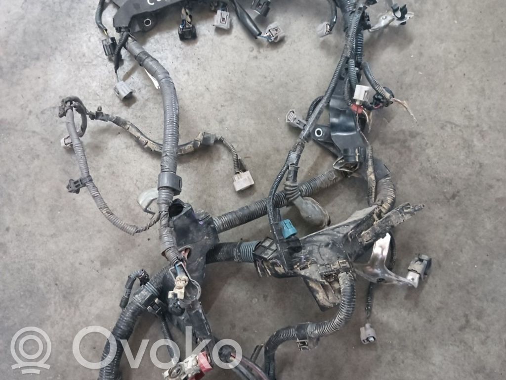 Motor