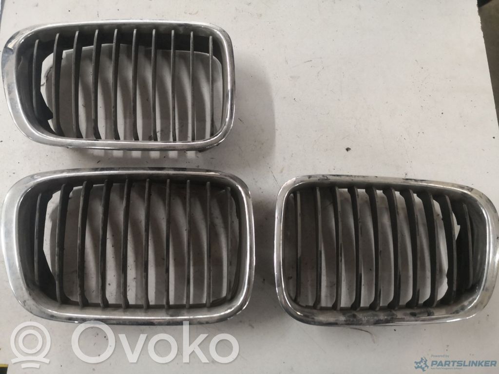 Kühlergrill   51137263480