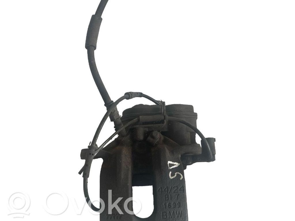 Takajarrusatula   32345699
