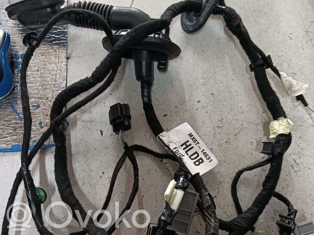 Ford Focus Cableado de puerta delantera 