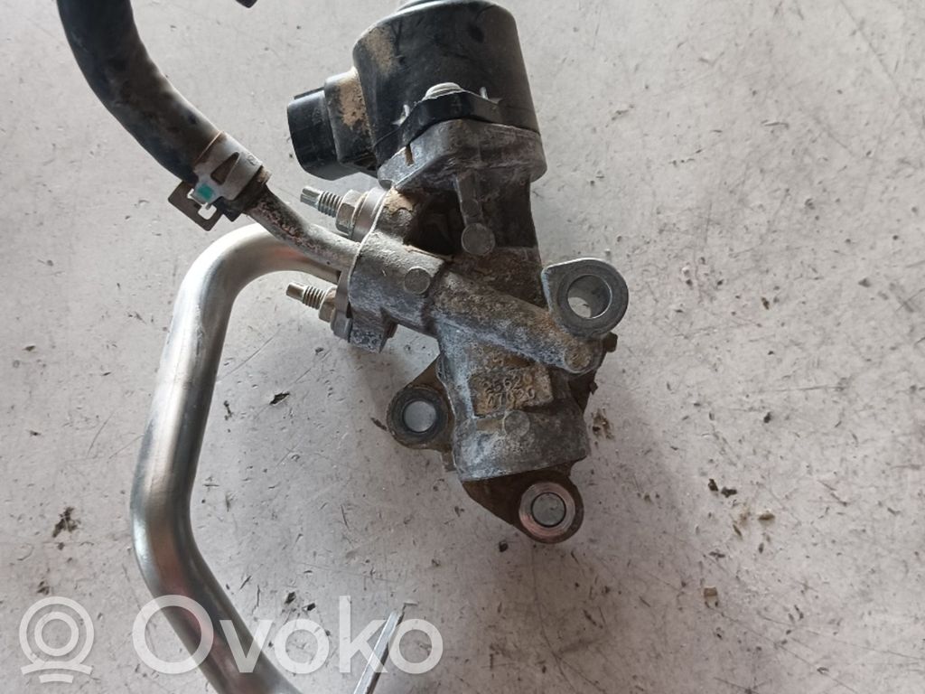 Válvula EGR   2562047020