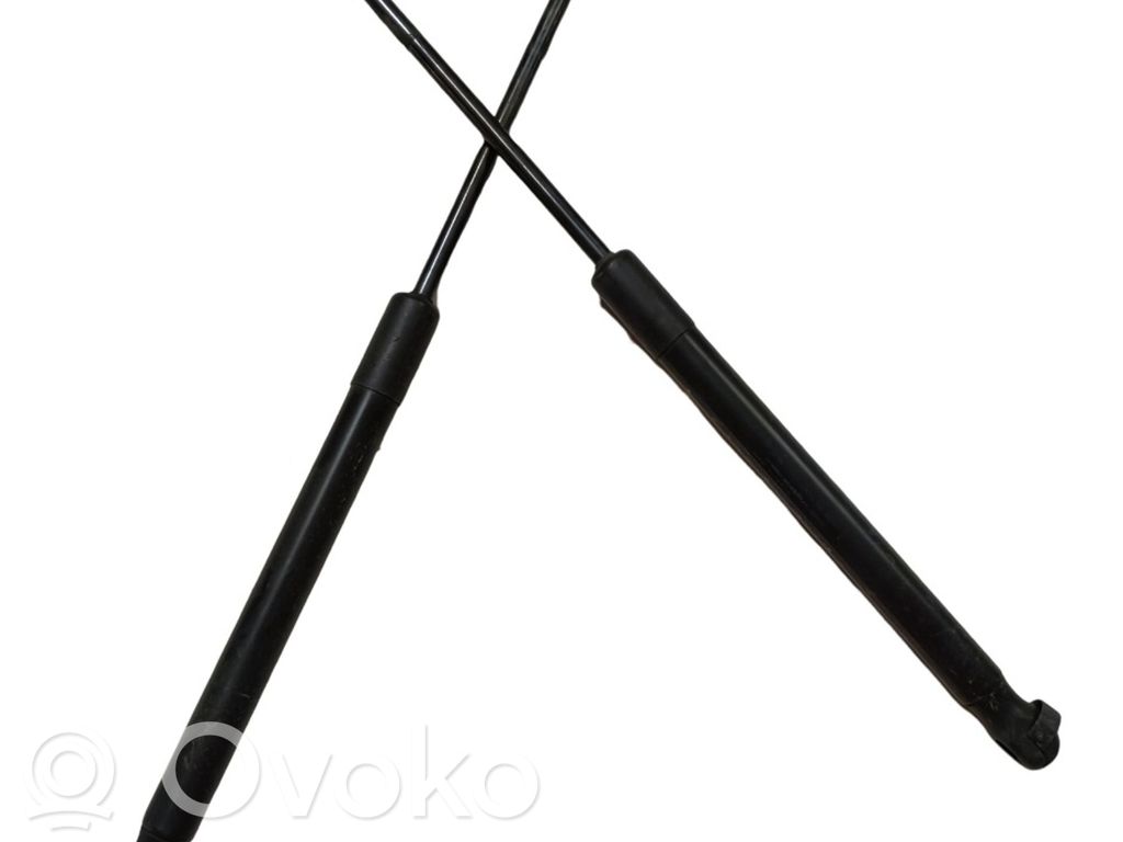 Heckklappenstrebe