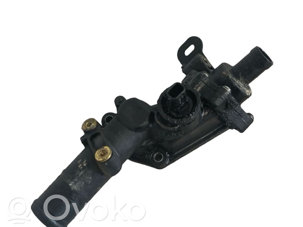 Termostato korpusas   110602770R
