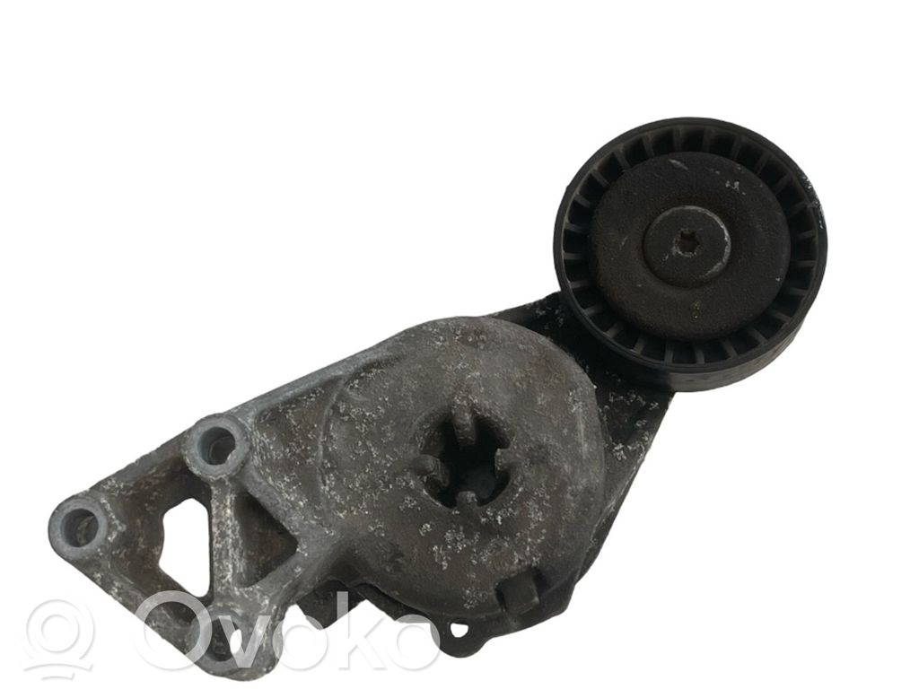 Tensor de correa del alternador   06A903315F