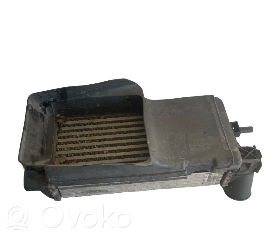 Ladeluftkühler   BV619L440CJ