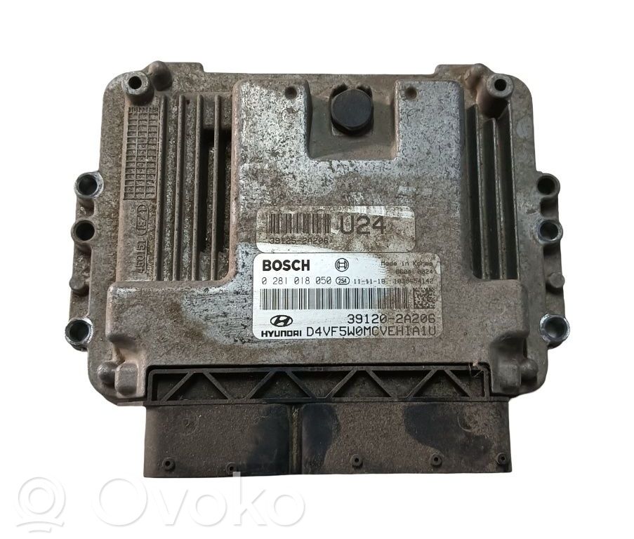 Engine control unit/module ECU   391202A206,0281018050