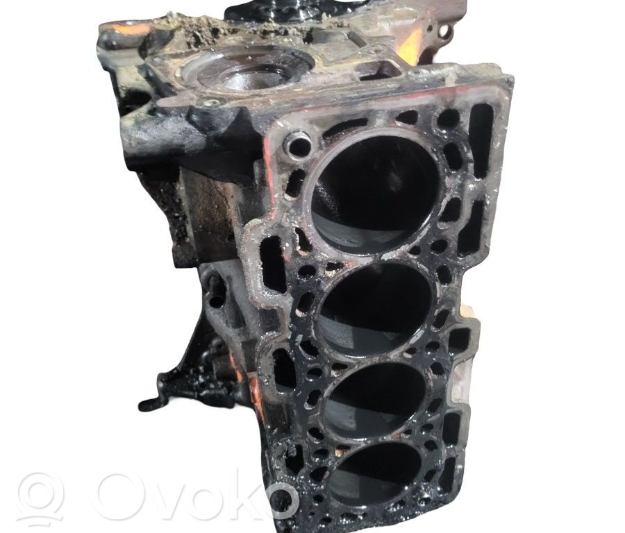 Dacia Duster Engine block 