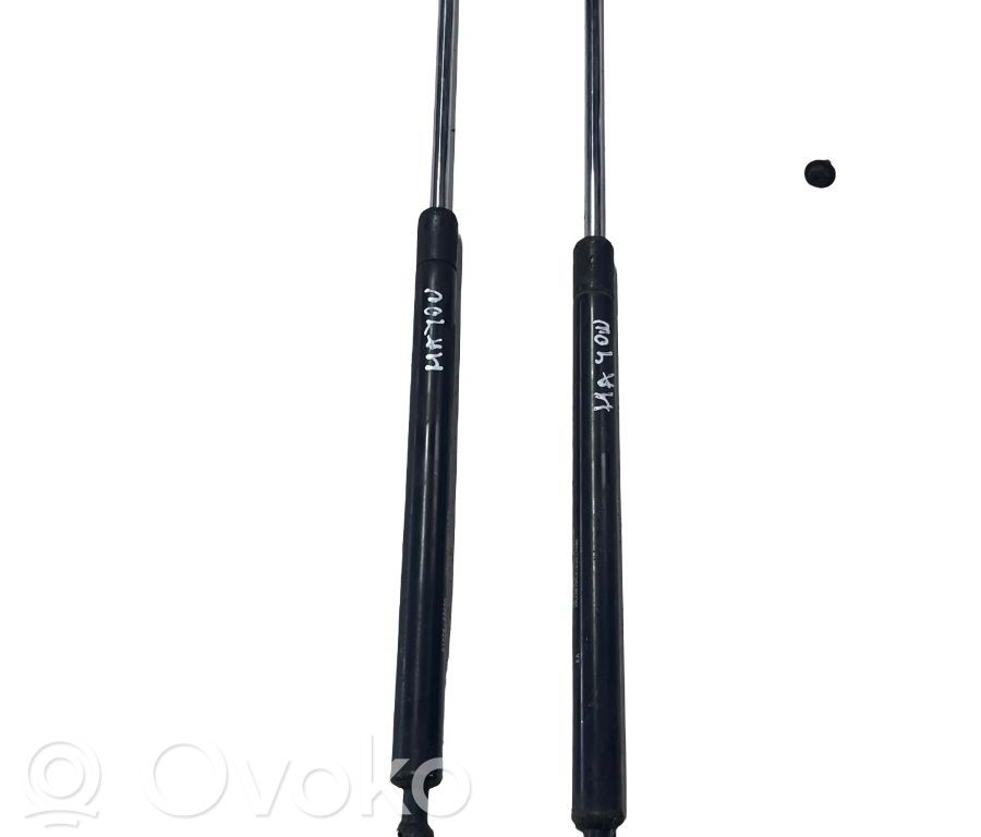 Tailgate strut   8177022200