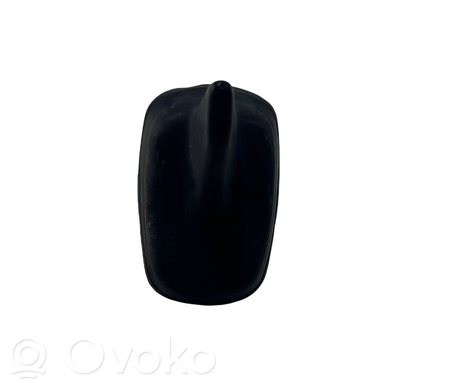 Radion antenni   4G0035503A