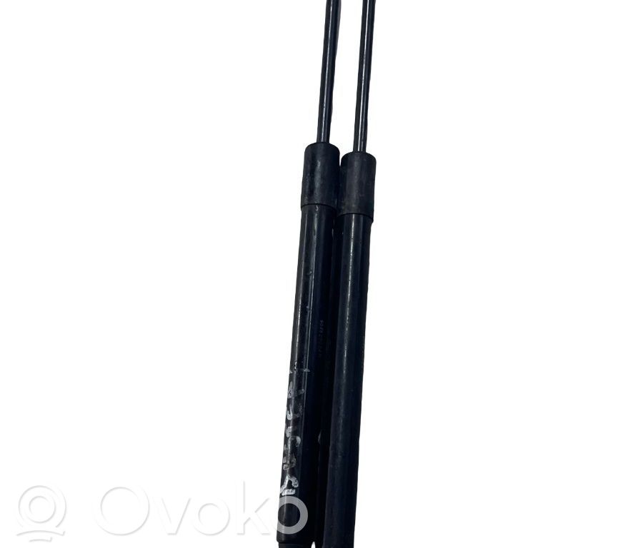 Amortizators ar atsperi   904520004R