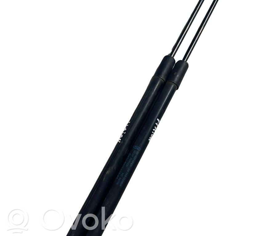 Heckklappenstrebe   BM51N406A10AC