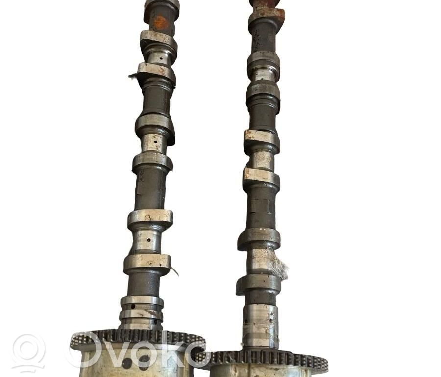 Albero a camme   31B1B18