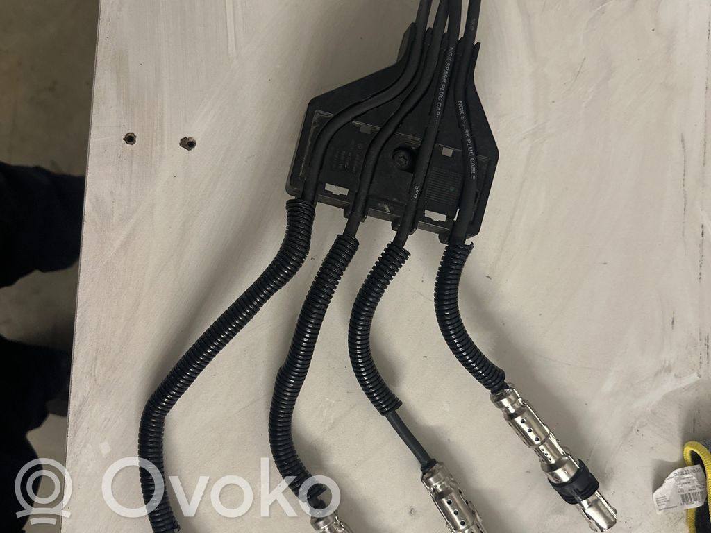 Volkswagen Polo V 6R Cavi accensione candele 