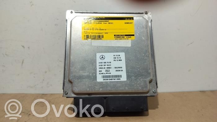 Sterownik / Moduł ECU   A6519007600,A2469059800