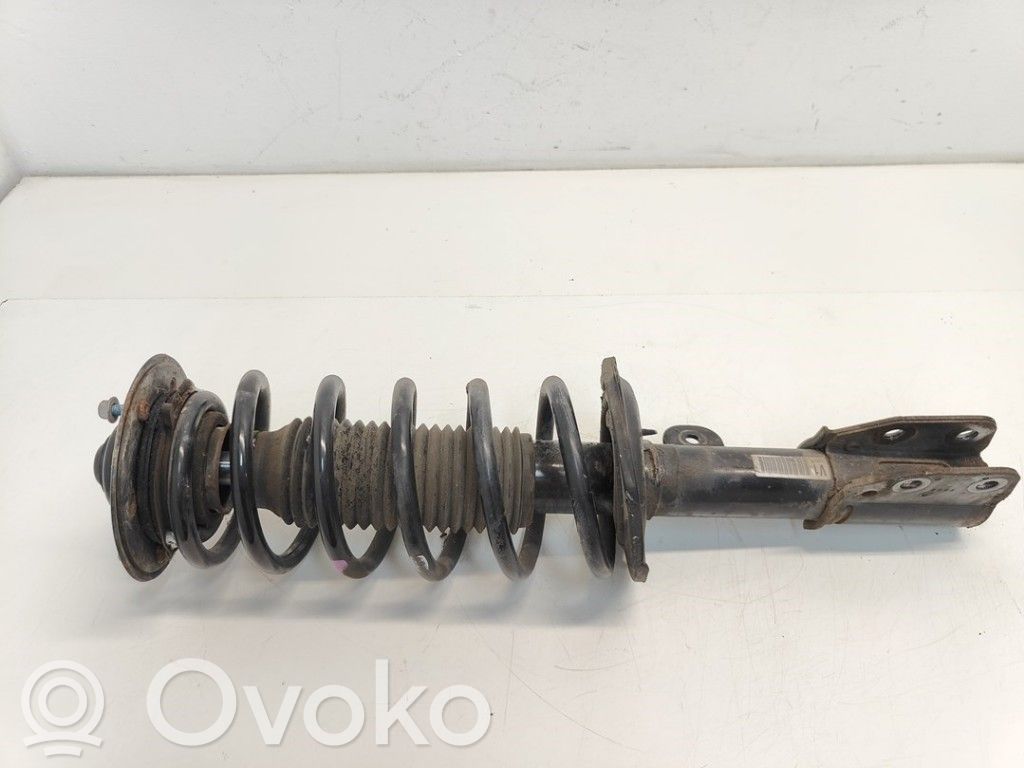 Opel Antara Amortyzator osi przedniej ze sprężyną 