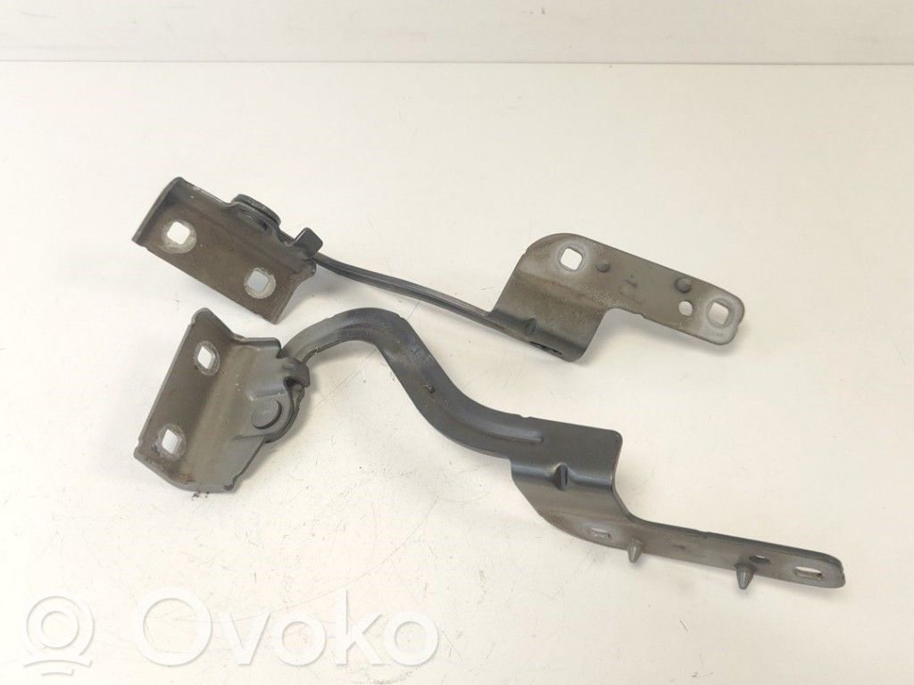 Renault Modus Engine bonnet/hood hinges 
