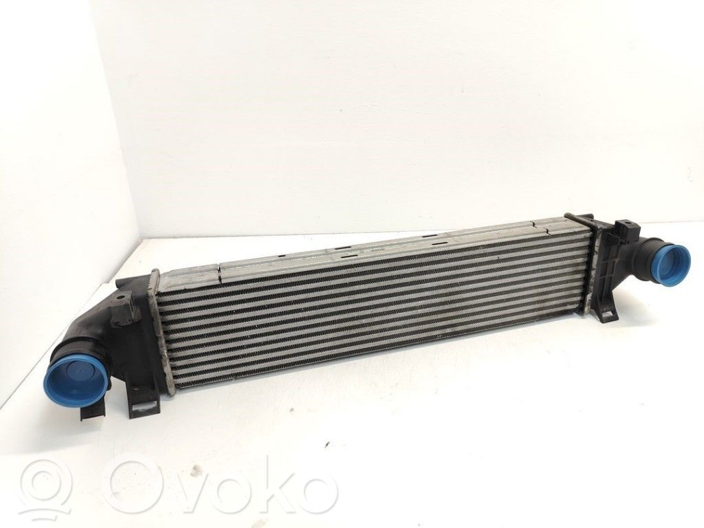 Land Rover Freelander 2 - LR2 Radiatore intercooler 