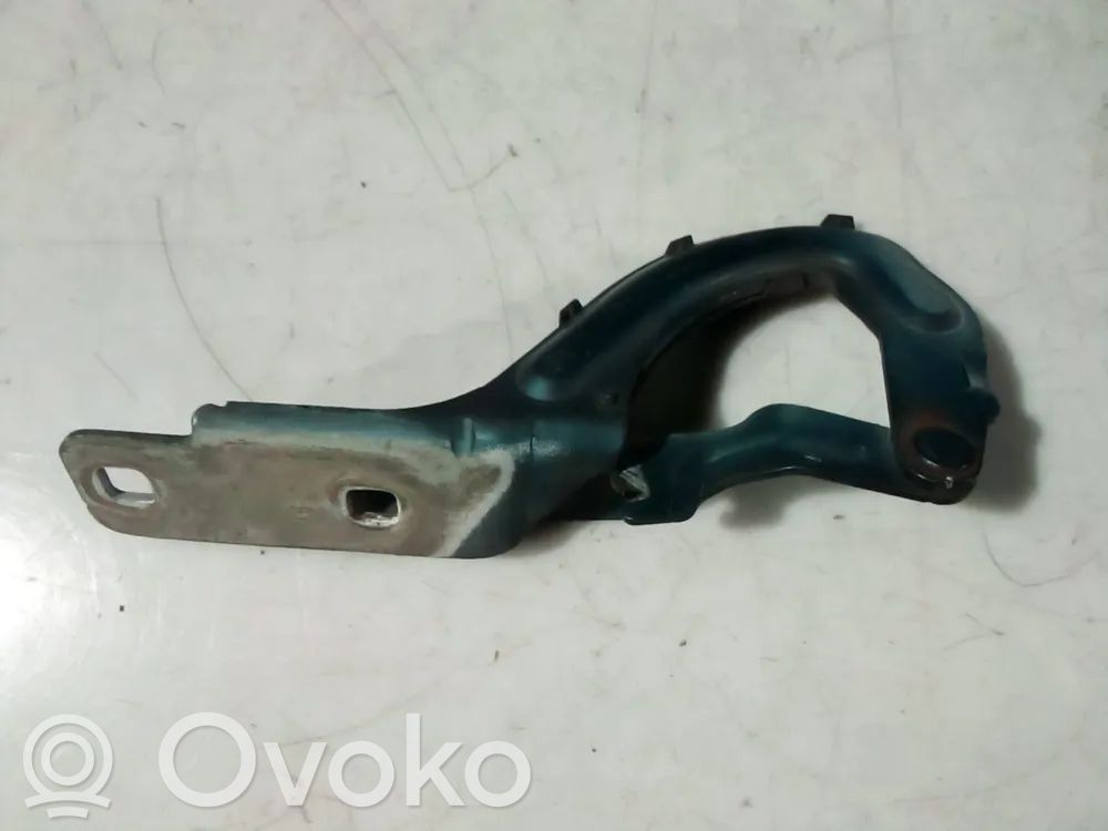 Renault Megane I Set di cerniere portiera anteriore 