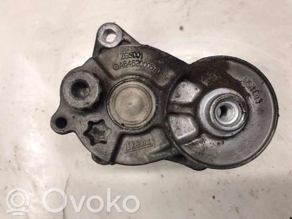 Mercedes-Benz E W210 Napinacz paska wielorowkowego / Alternatora 