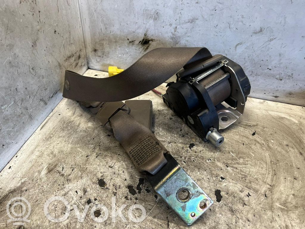Cinturón trasero   33048282