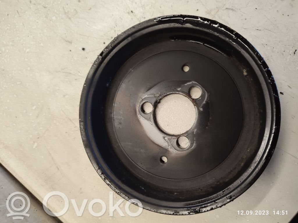 Audi A6 S6 C6 4F Vandens pompos skriemulys 