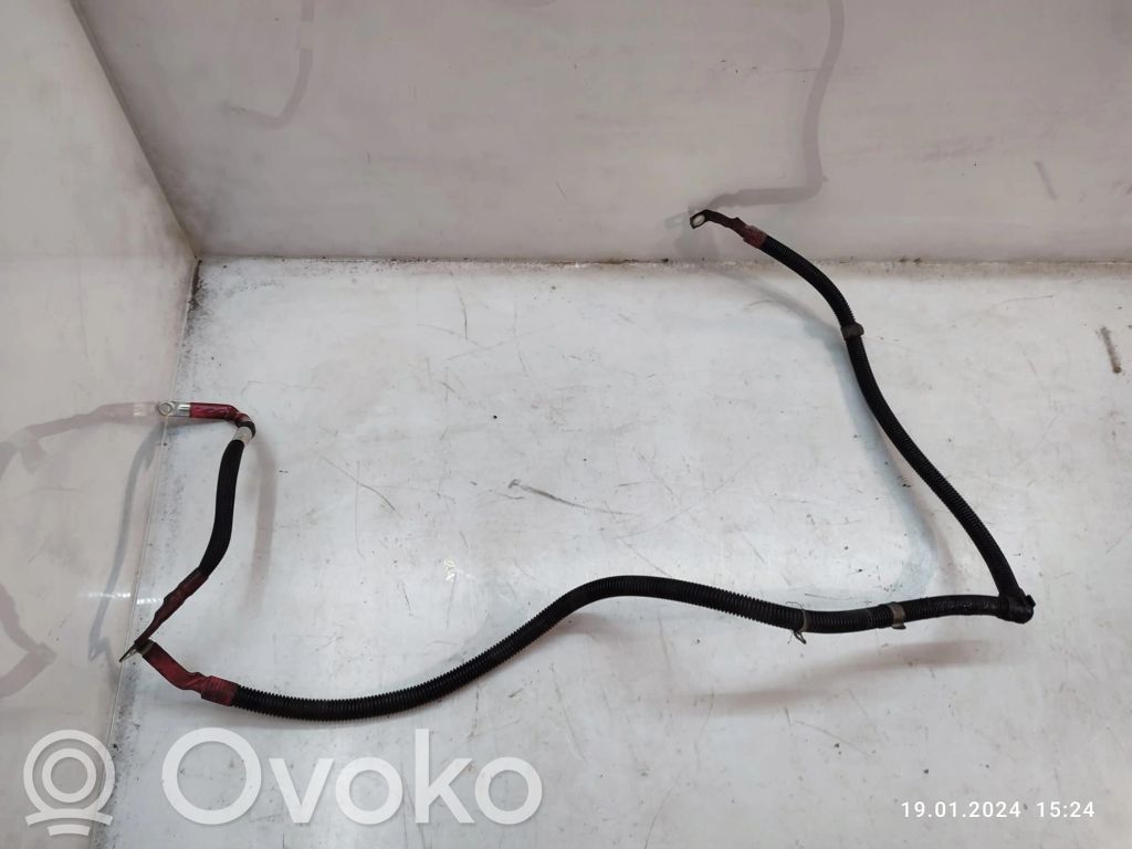 Plusa vads (akumulatora)   7807801