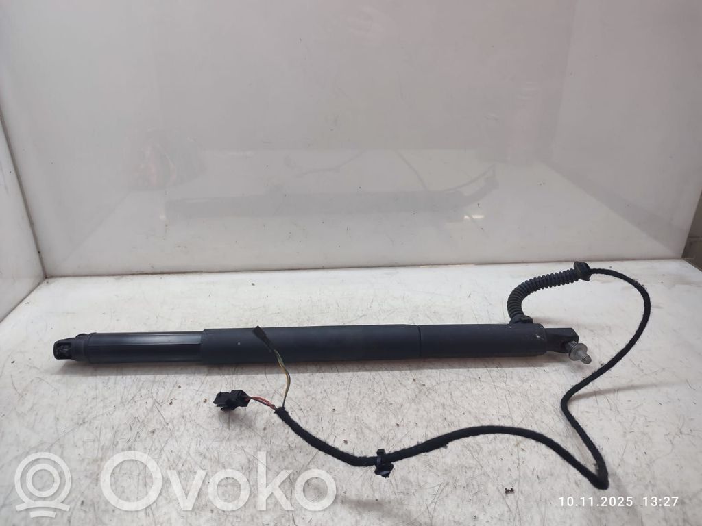 BMW X6 E71 Tailgate/trunk strut/damper 