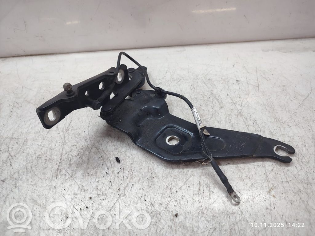 BMW X6 E71 Engine bonnet/hood hinges 