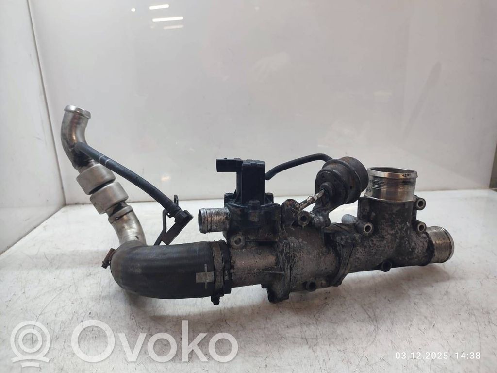 Land Rover Range Rover Sport L320 Válvula EGR 