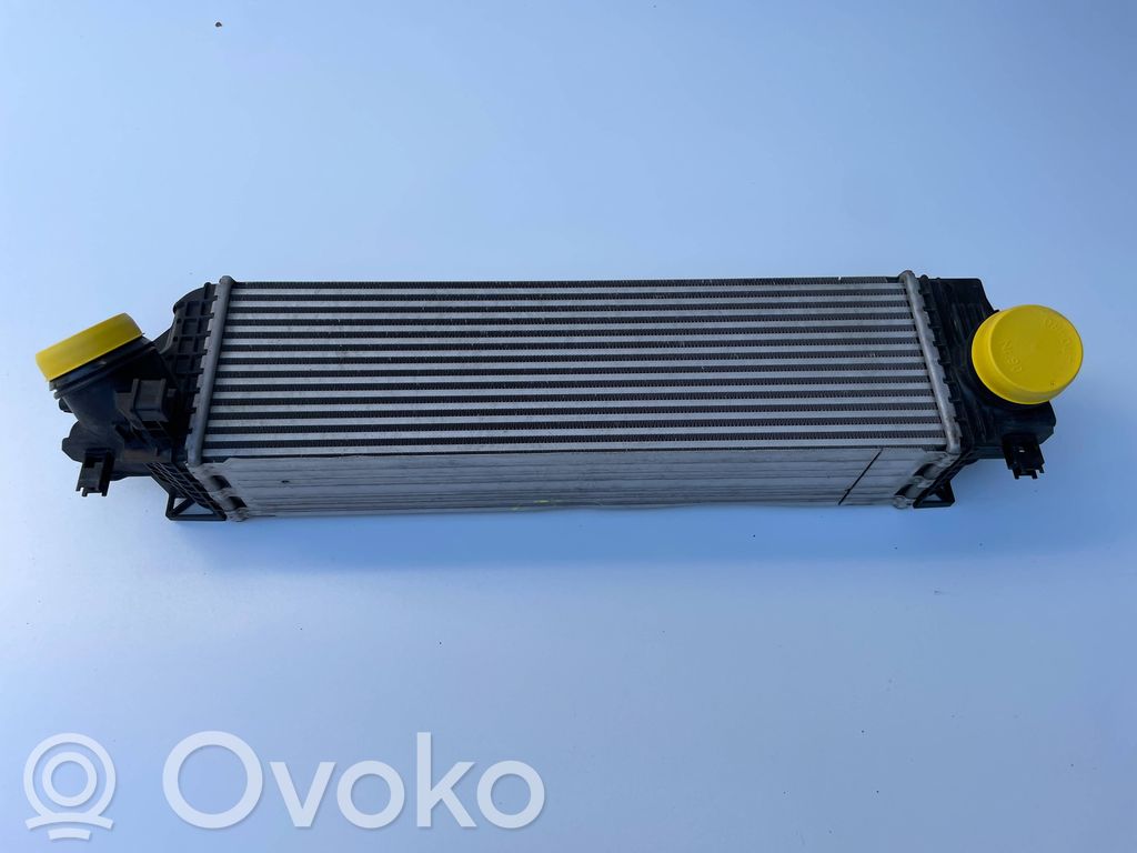 BMW 1 F40 Interkūlerio radiatorius 
