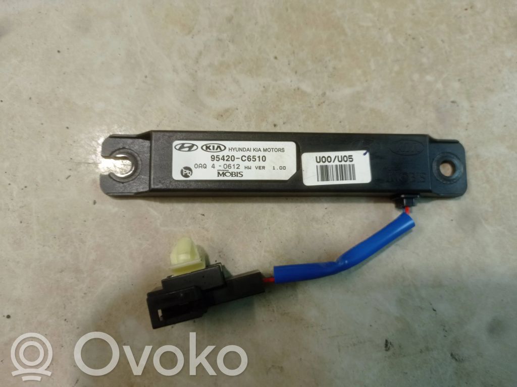 KIA Sorento Other control units/modules 