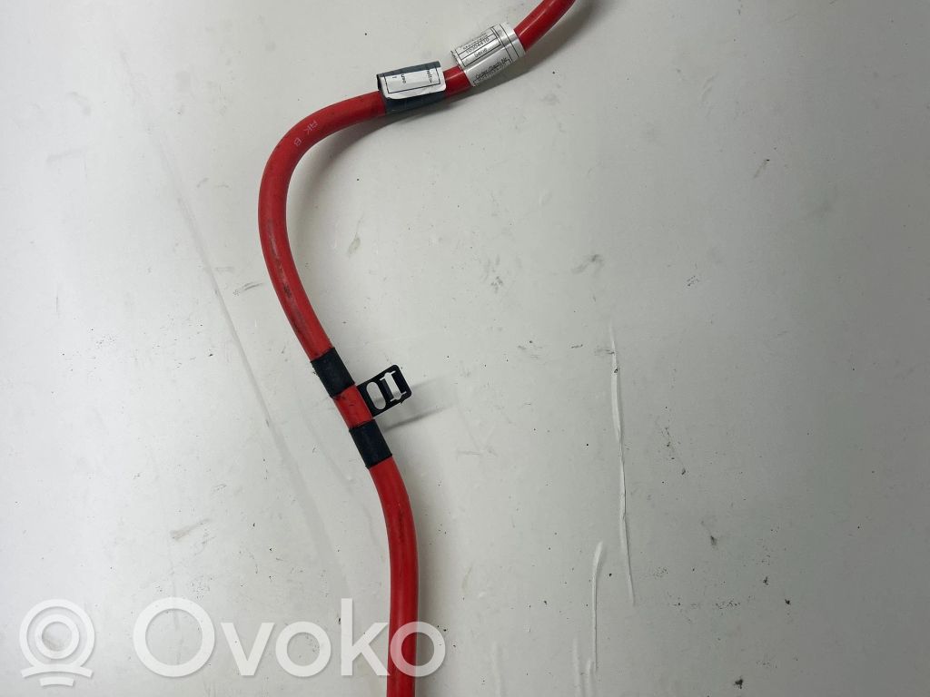 BMW 7 F01 F02 F03 F04 Cablu cu bornă pozitivă (baterie) 