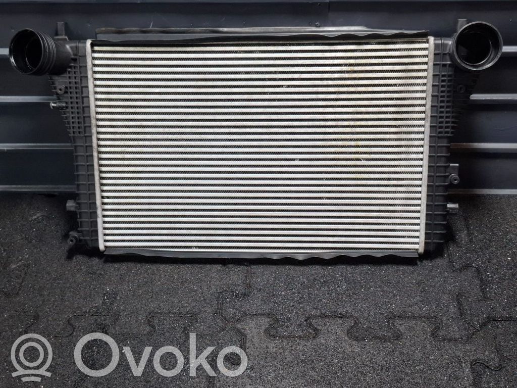 Skoda Octavia Mk2 (1Z) Ladeluftkühler 