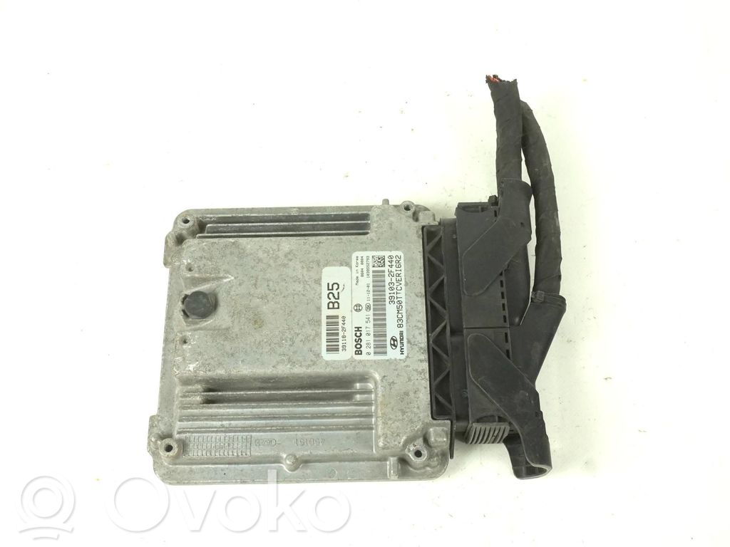 Hyundai Santa Fe Engine control unit/module ECU 