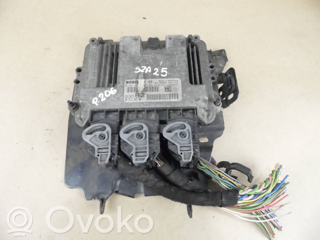 Peugeot 206 Engine control unit/module 