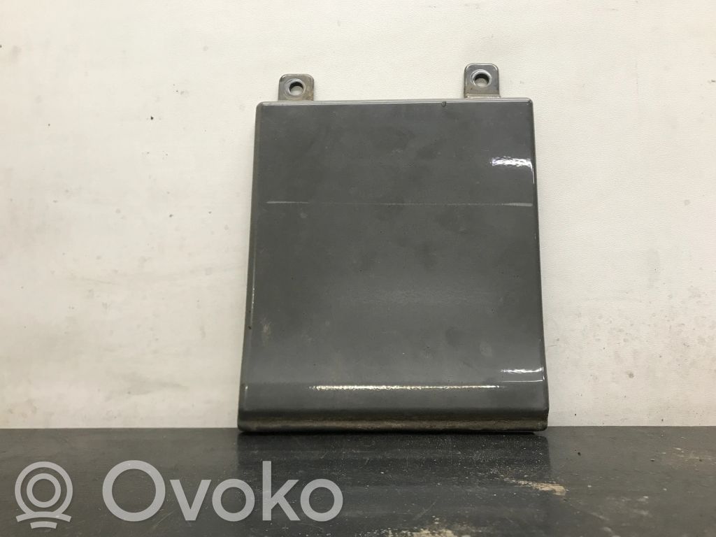 Renault Trafic III (X82) Rear door trim (molding) 