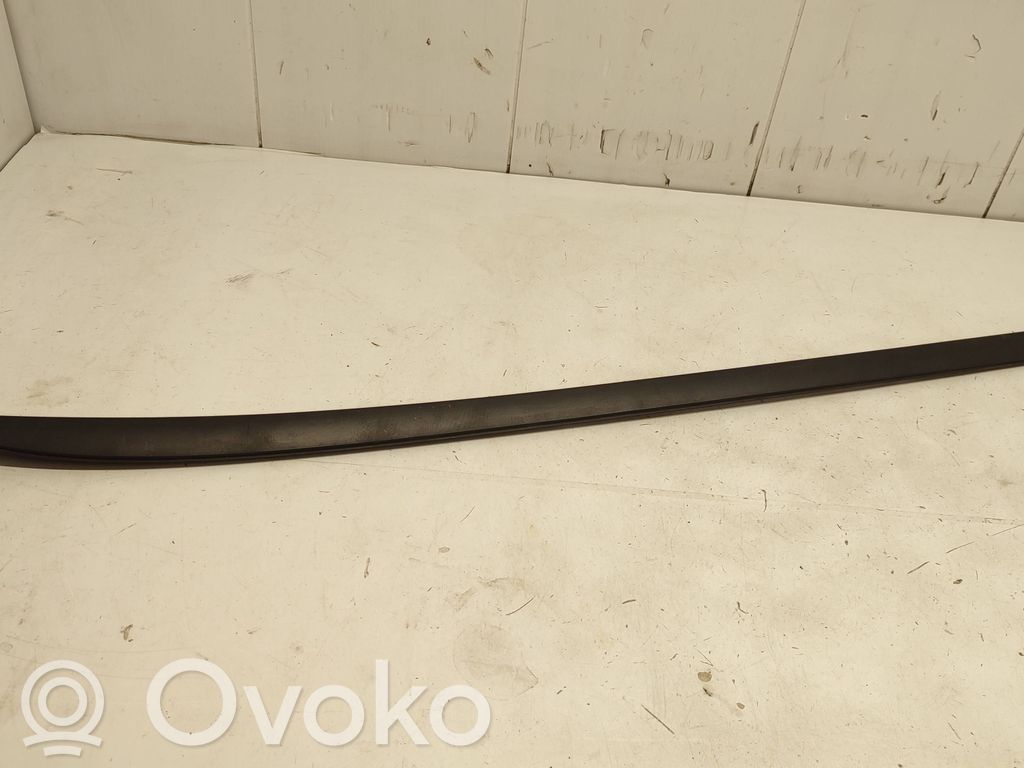 Ford Focus Windshield trim 