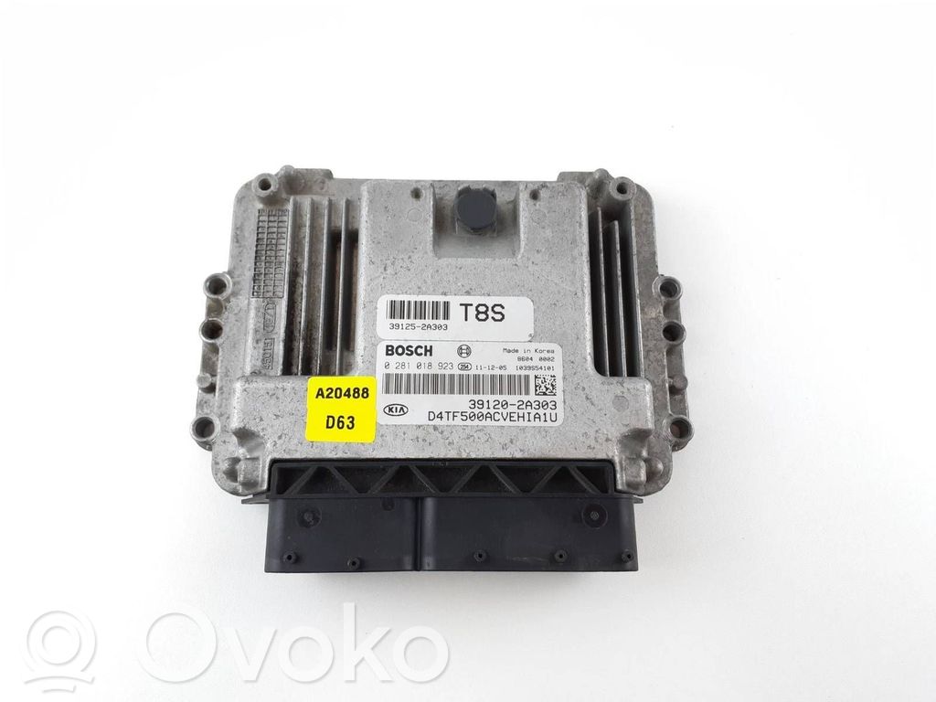 Engine control unit/module   391202A303,0281018923,D4TF500ACVEHIA1U