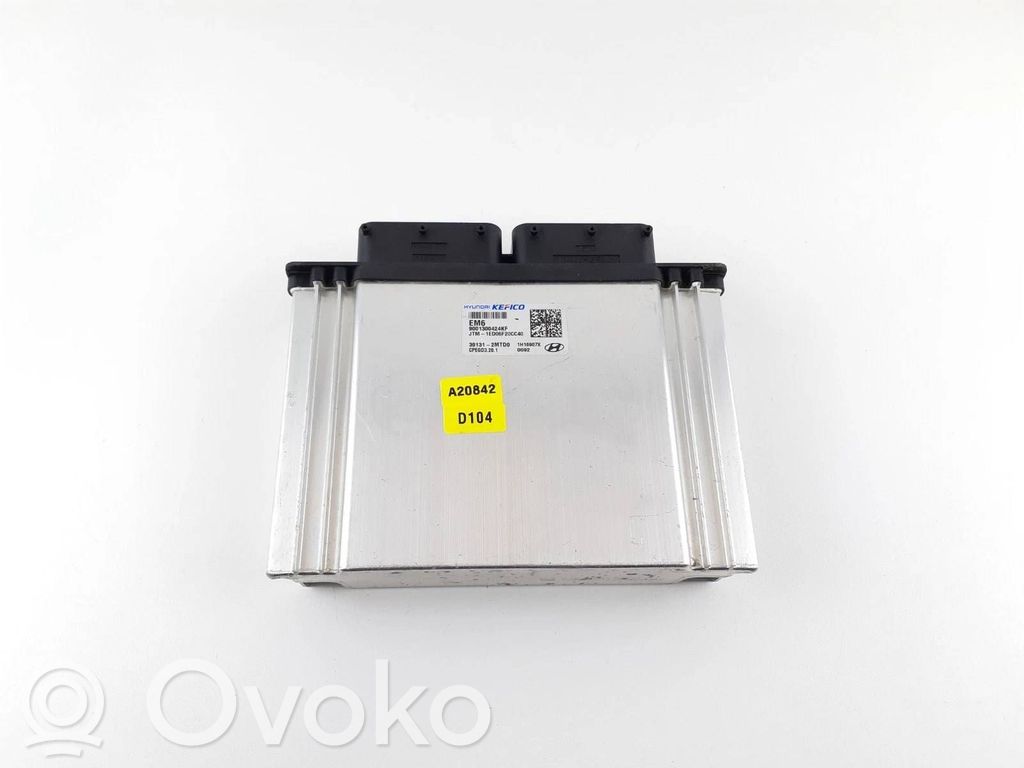 Hyundai Santa Fe Engine control unit/module 