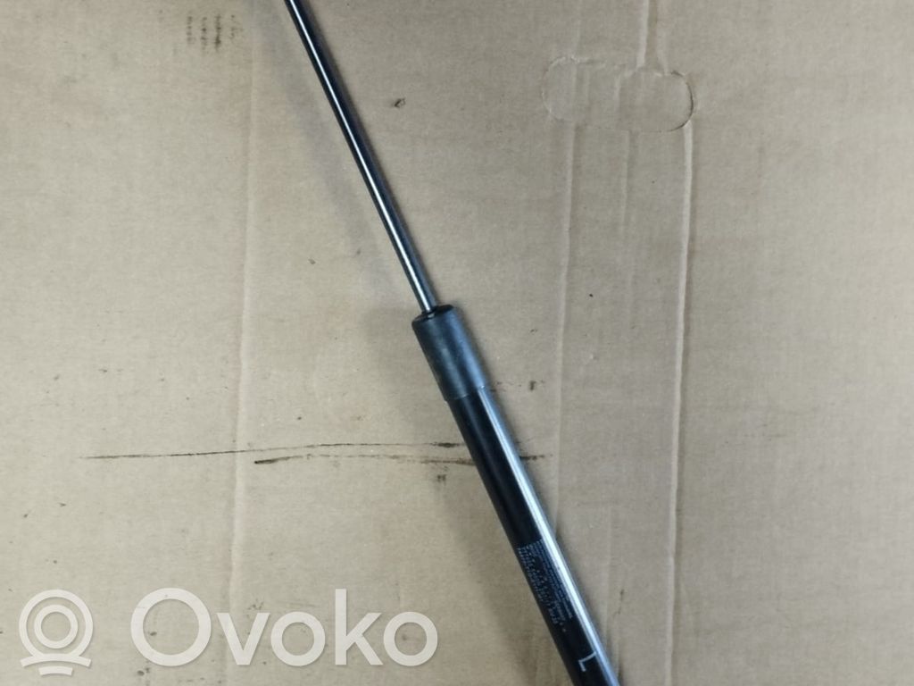 Tailgate/trunk strut/damper