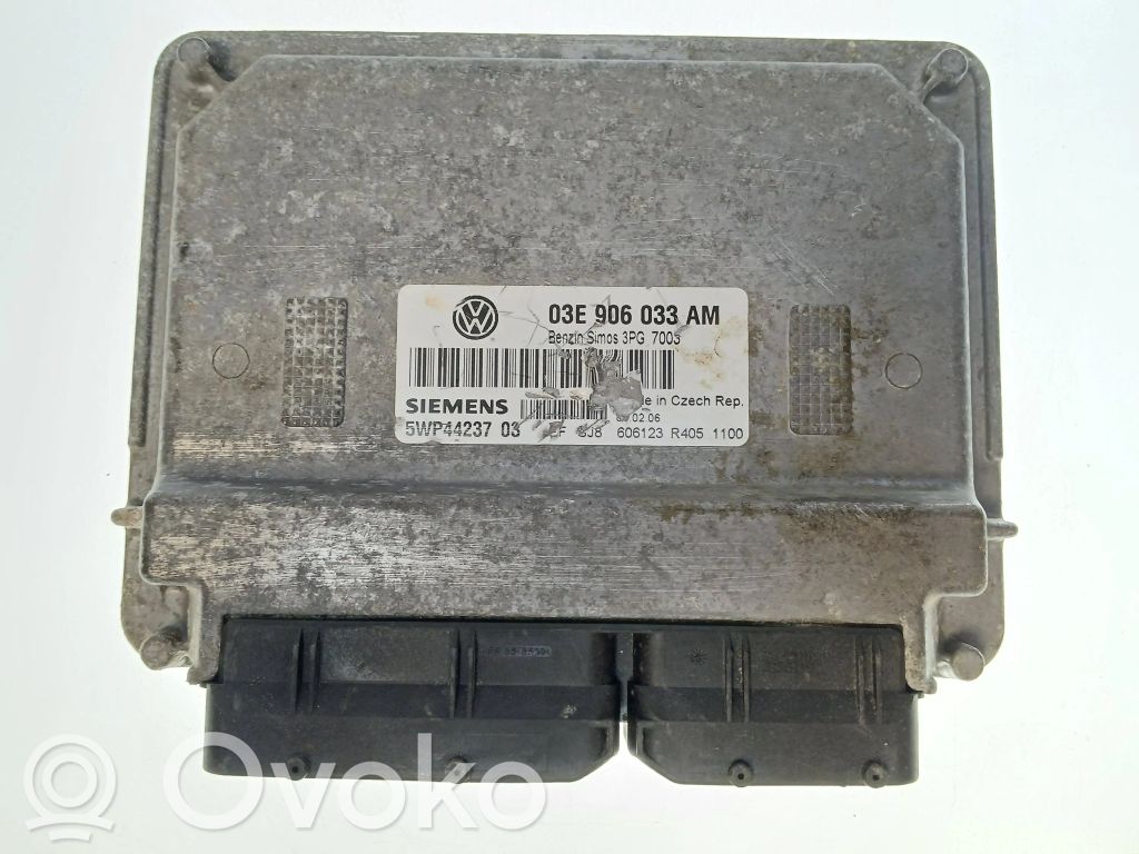 Seat Ibiza III (6L) Engine control unit/module 