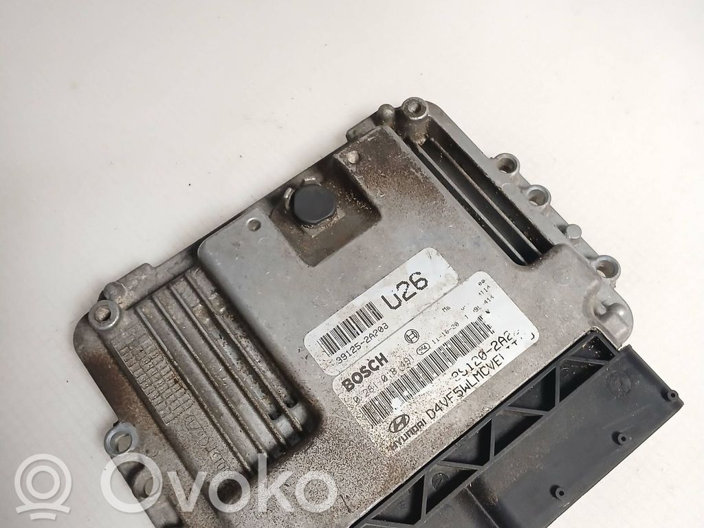 Engine control unit/module   391252A208,291202A2,0281018491