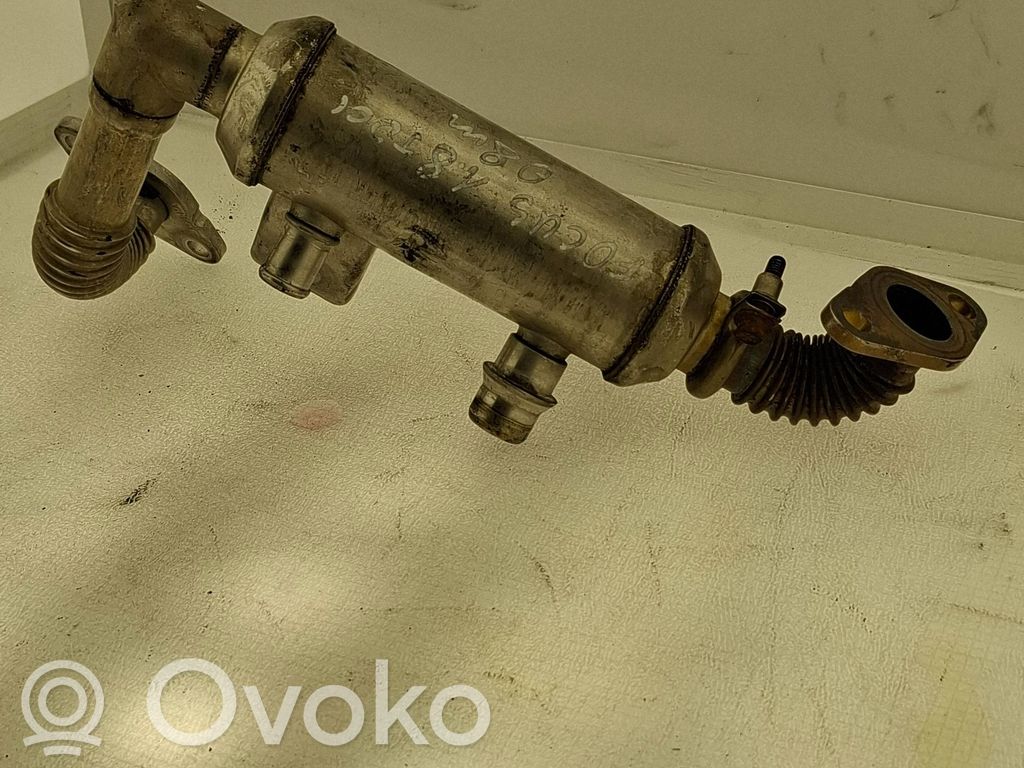 Ford Focus EGR dzesētājs 